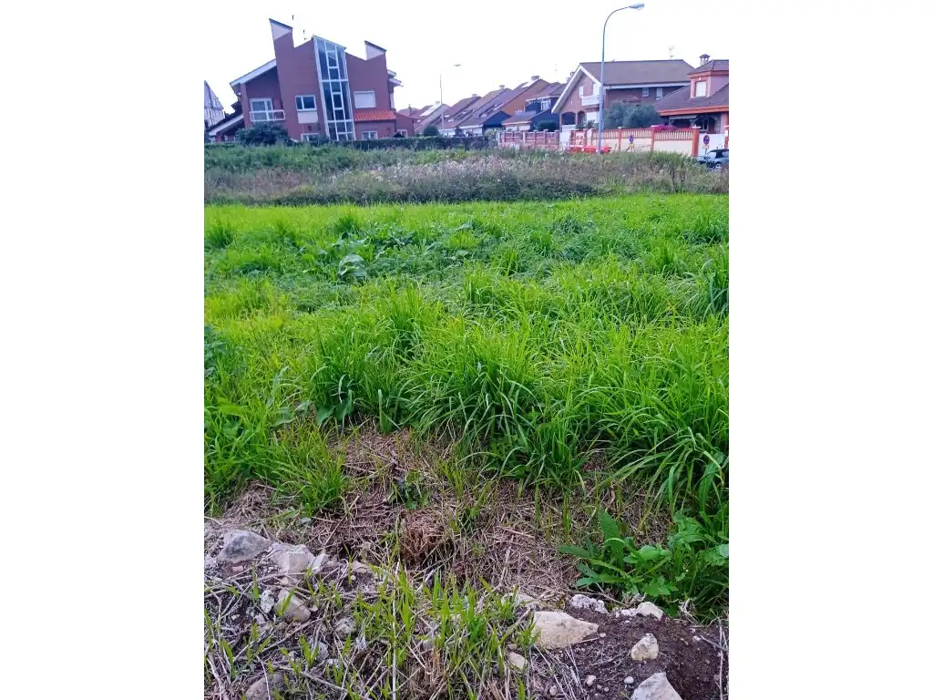 Residential land for sale in Calle Bernardino Guardado, imagen 4