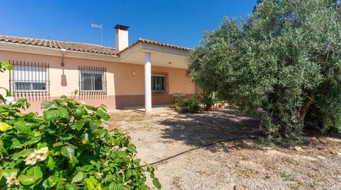 Foto 5 de Finca rústica en venta en el Rulete-20, 39, Abarán, Murcia
