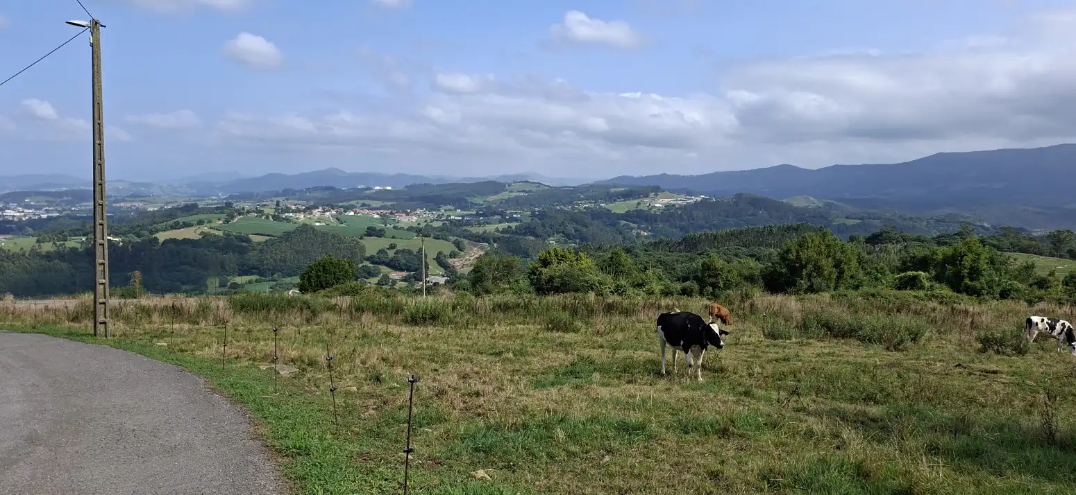 Haus mit Terrasse zum Verkauf in Fresnedo - BO FRESNEDO 21, imagen 31