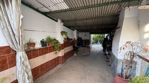 Photo 5 of Land for sale in Este, Mérida