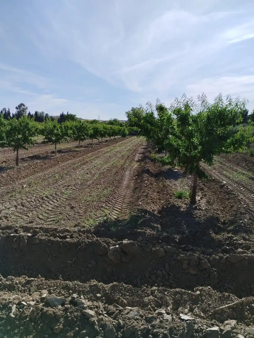Terreni e lotti in vendita a Villa de Otura, imagen 25
