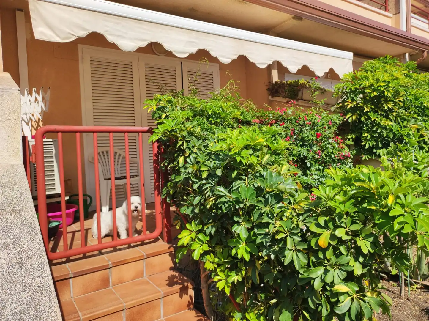 Jardín de Planta baja en venta en Cambrils con Aire acondicionado, Jardín privado y Piscina