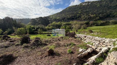 TERRENO RURAL CERDIGO, imatge 2