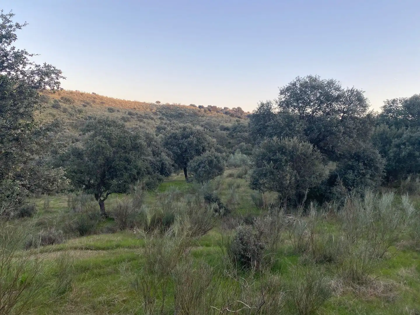 Terreni e lotti in vendita a Villar del Pedroso, imagen 12