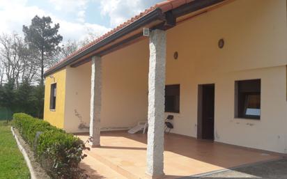 Exterior view of House or chalet for sale in O Pereiro de Aguiar   with Private garden