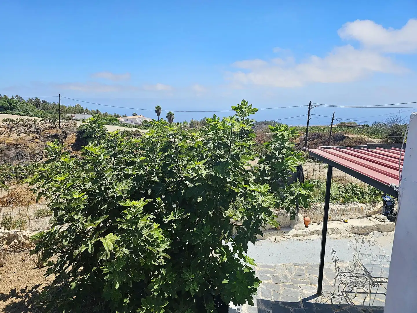 Vista exterior de Finca rústica en venda en Granadilla de Abona