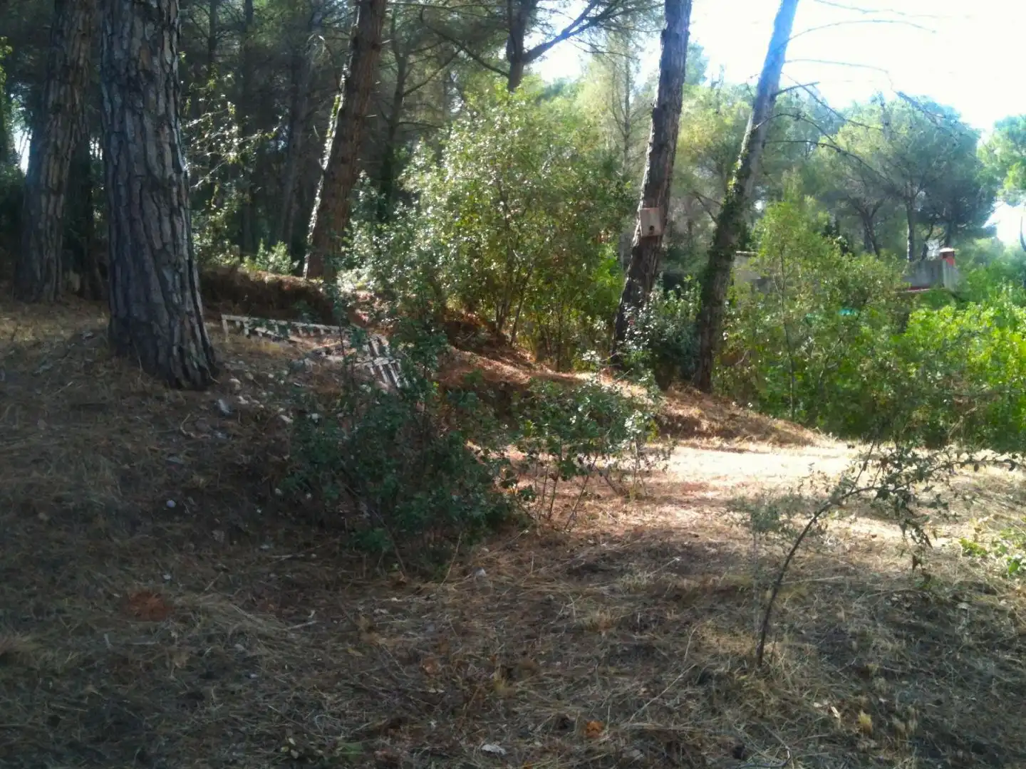 Wohnbaugrundstück zum Verkauf in Passeig Walt Disney 23, imagen 6