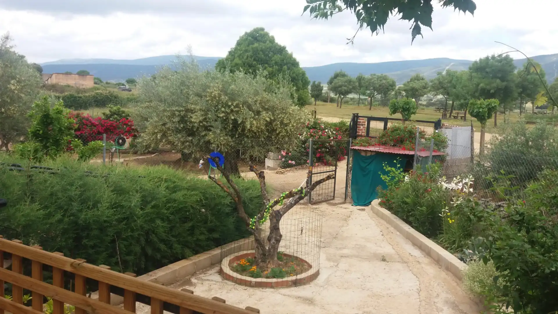 Garden of Houses for sale in Logrosán  with Private garden, Terrace and Swimming Pool