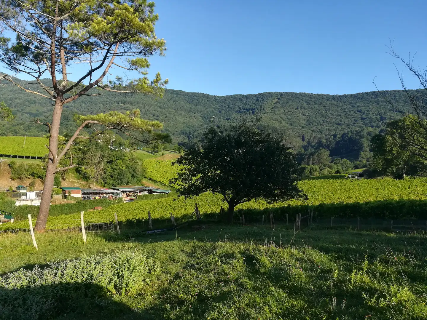 Terreno en venta en Jaitzubia Auzoa, 69, Hondarribia