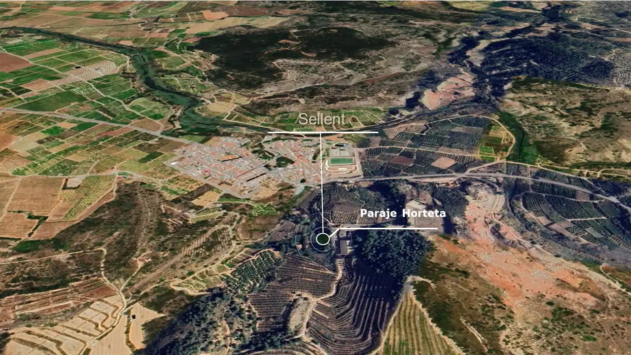 Terreno rústico en venta en Paraje Horteta, imagen 4