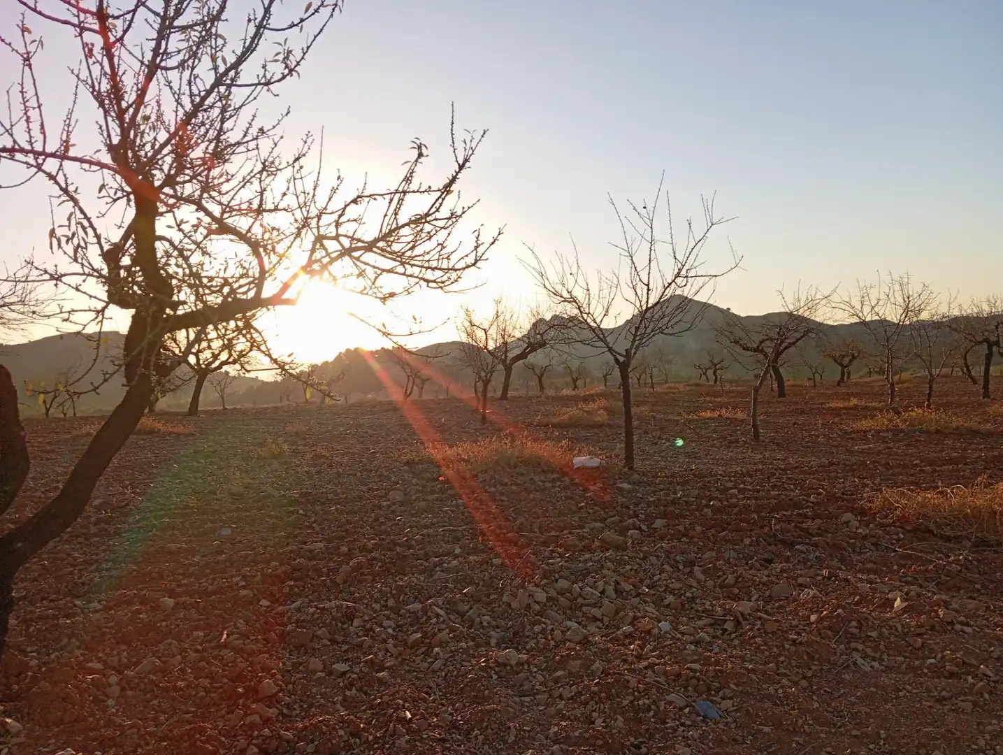 Houses for sale in Bejar