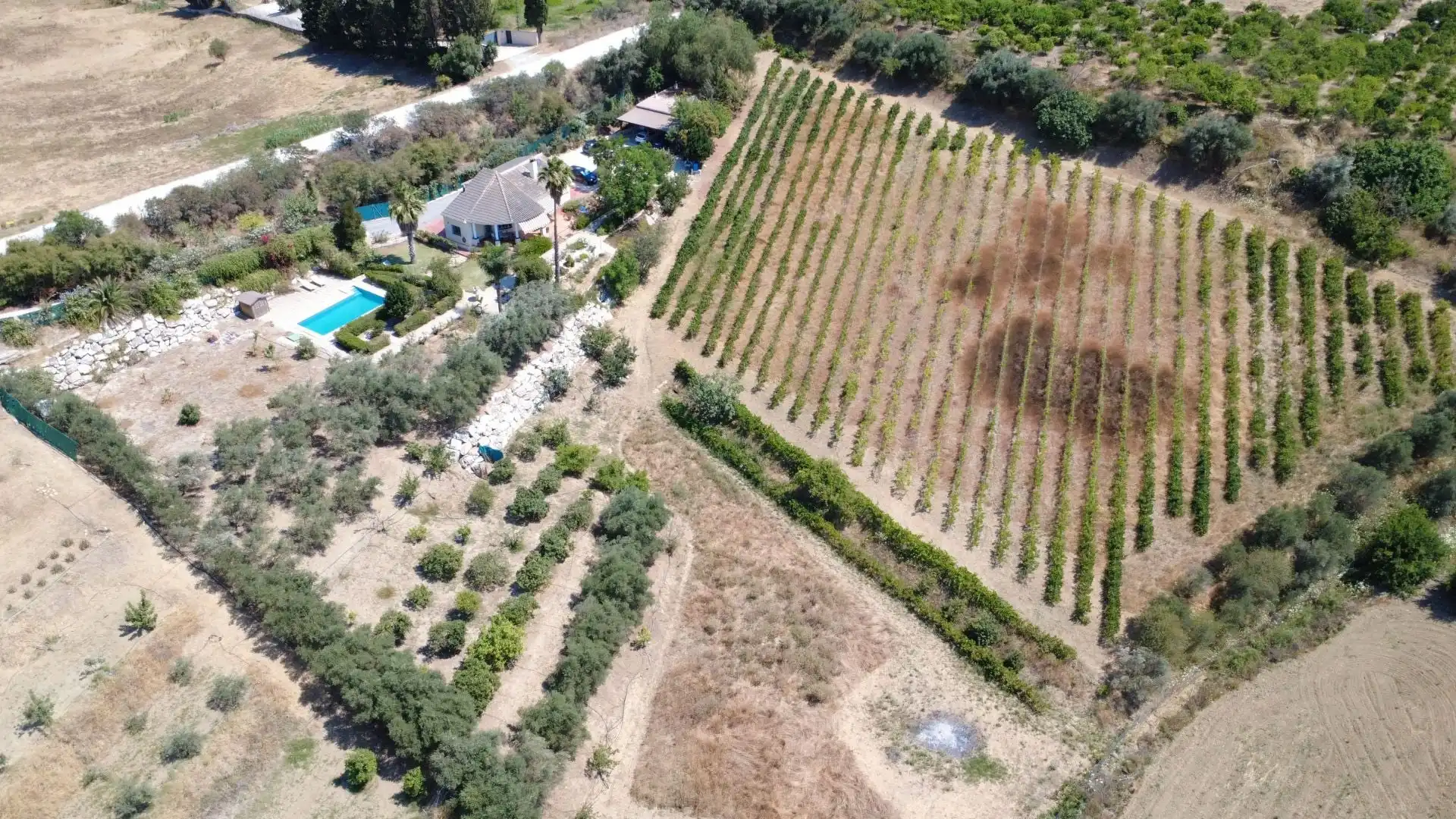 Finca rústica en venta en Centro