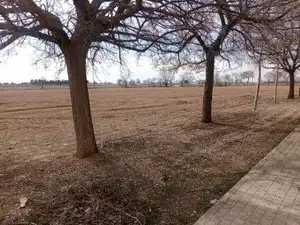 Casa rústica en venda a Tomelloso, imagen 4
