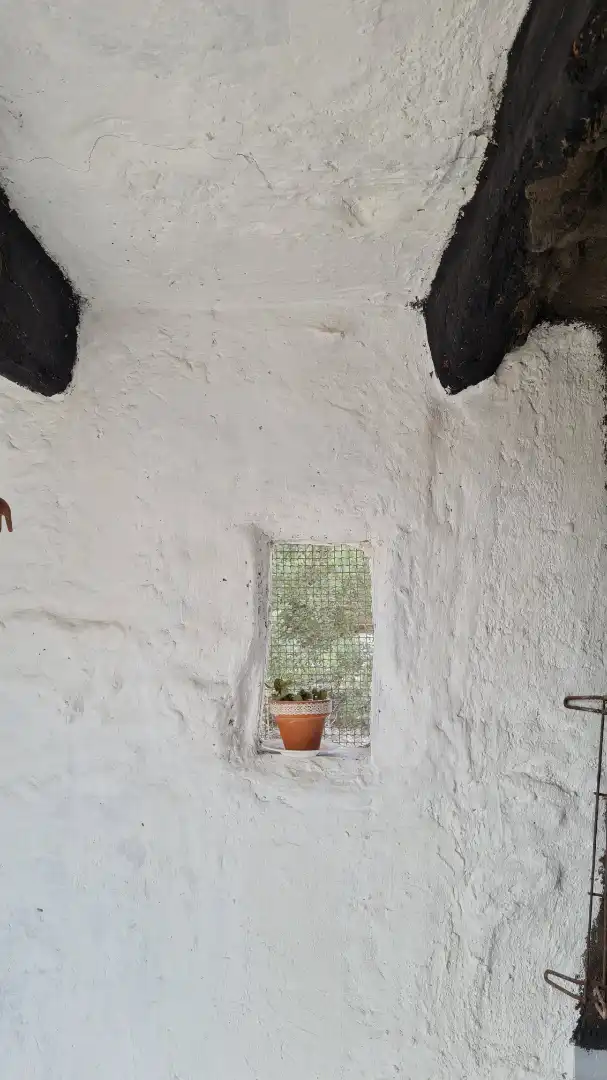 Terrassa de Casa o xalet en venda en Elche / Elx amb Jardí privat, Traster i Moblat