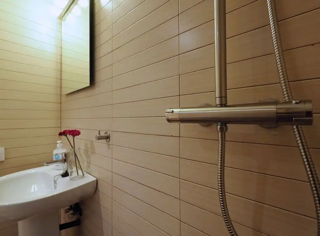 Bathroom of Flat for rent in Rozas Centro