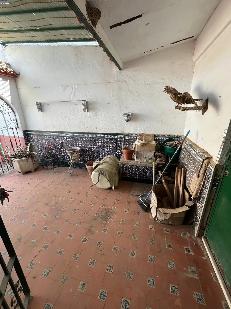 Jardí de Casa o xalet en venda en Villanueva del Ariscal amb Aire condicionat, Traster i Piscina