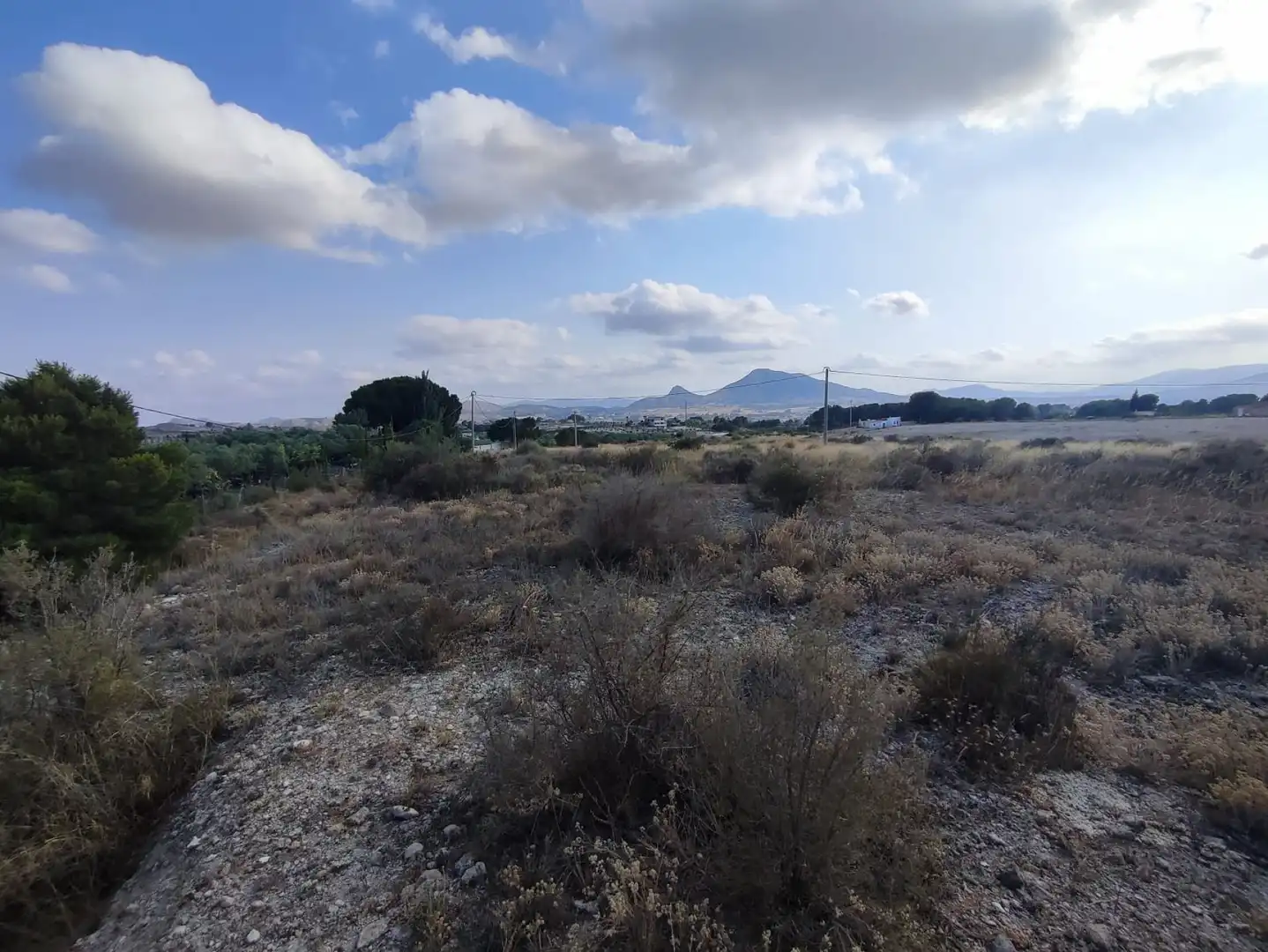 Residential land for sale in Sax, imagen 2