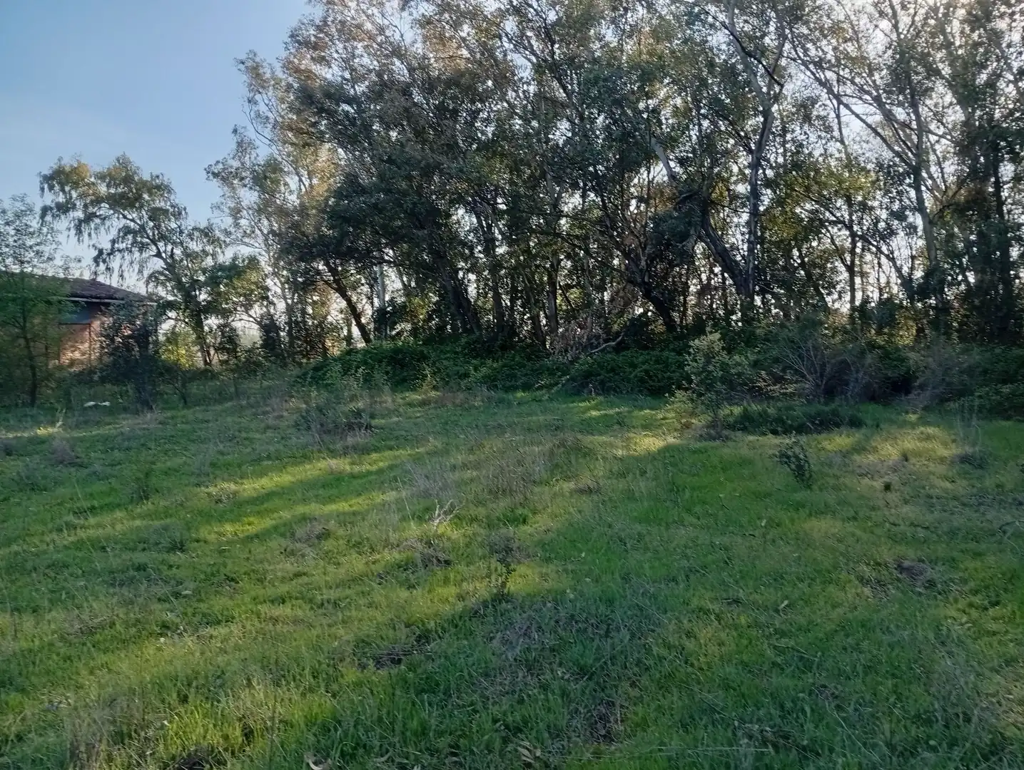 Terreni e lotti in vendita a Villanueva de la Vera, imagen 126