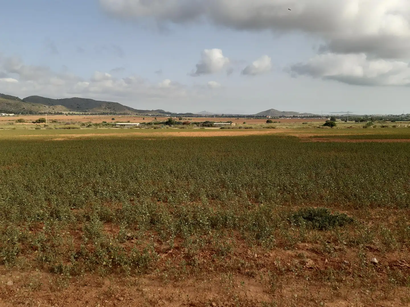 Residential land for sale in Mar Menor de Cartagena – Cabo de Palos, imagen 6