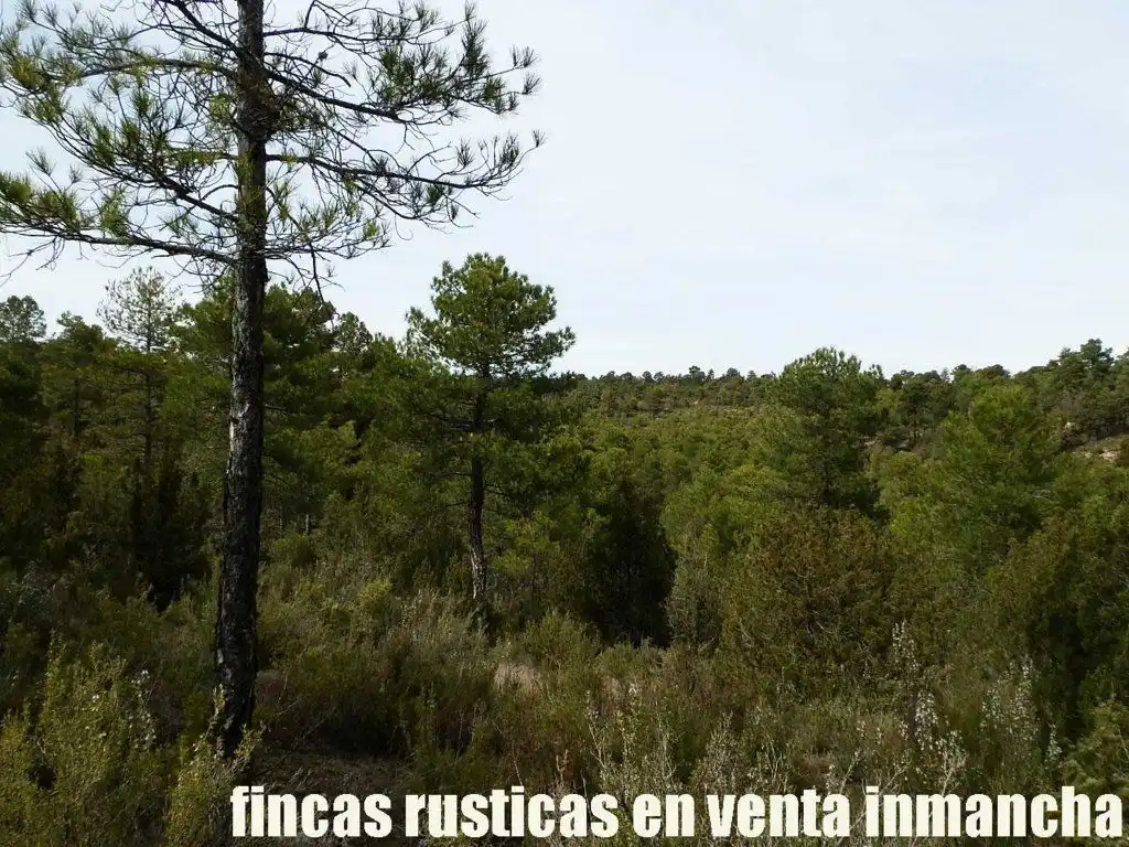 Terreni e lotti in vendita a Carboneras de Guadazaón, imagen 12