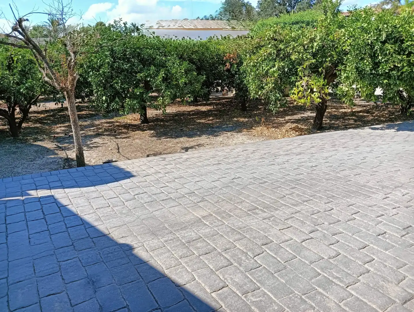 Villa in vendita a Lorca Ciudad, imagen 6