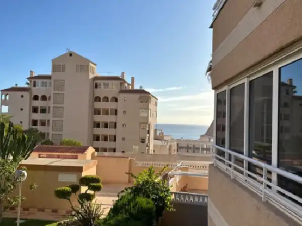 Exterior view of Flat for sale in Elche / Elx  with Private garden, Swimming Pool and Community pool