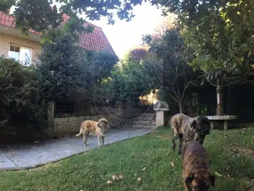 Casa o xalet en venda a Parroquias Rurales