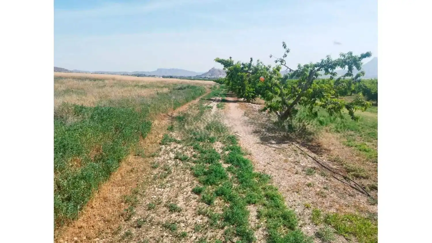 Residencial en venda a N/A, -1, Alhama de Murcia ciudad