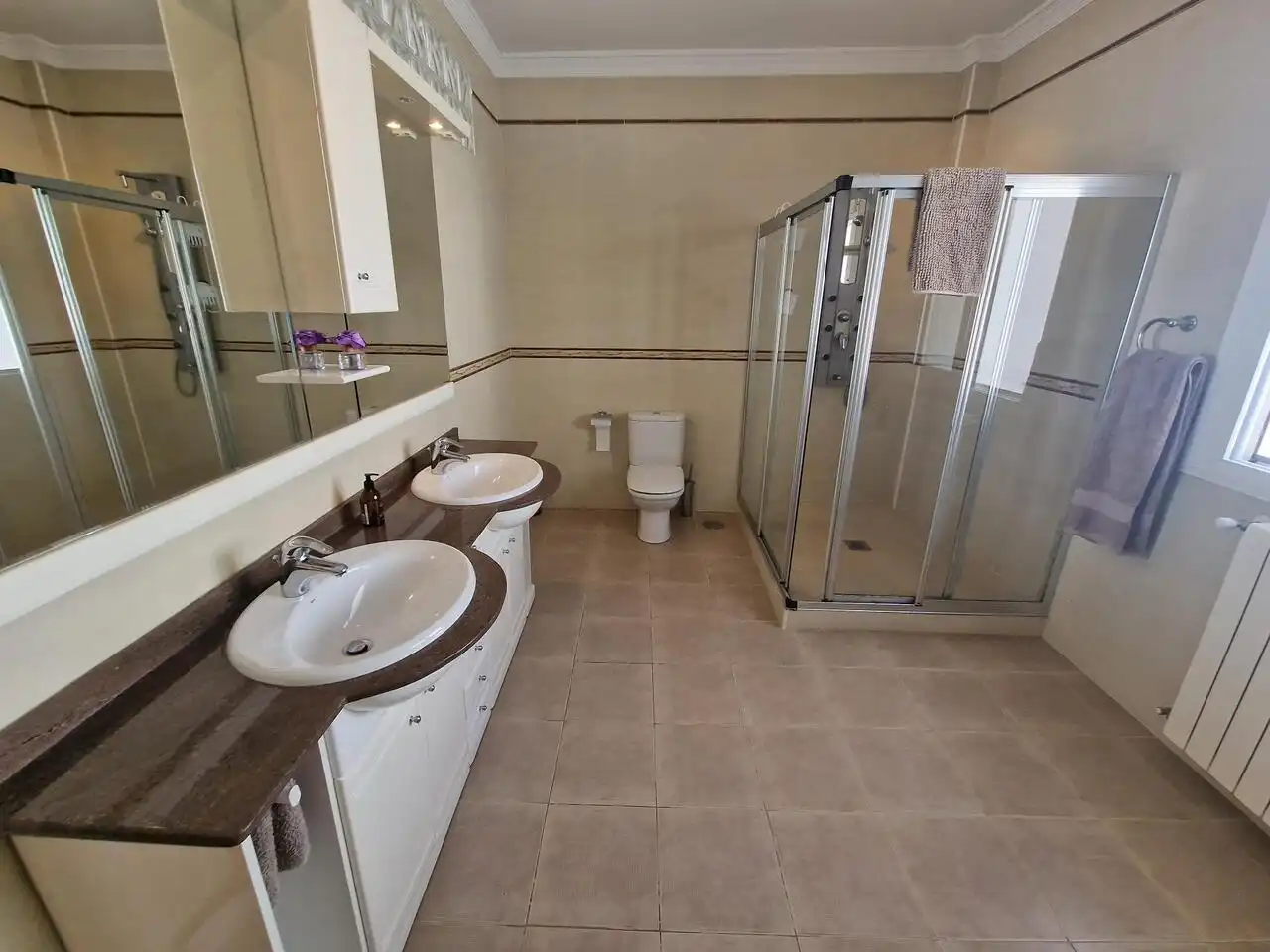 Baño de Casa o chalet en venta en Periana con Aire acondicionado, Terraza y Piscina