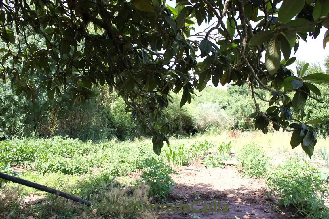 Casa rústica en venda a Algodonales, imagen 14