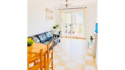 Planta alta, orientación sur, vistas al mar, garaje incluido y urbanización con piscina en una de las zonas residenciale, image 4