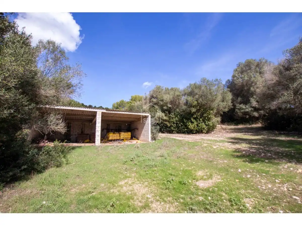 Country homes for sale in Son Bou - Sant Jaume