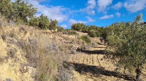 Foto 4 von Residential zum Verkauf in La Font de la Figuera, Valencia