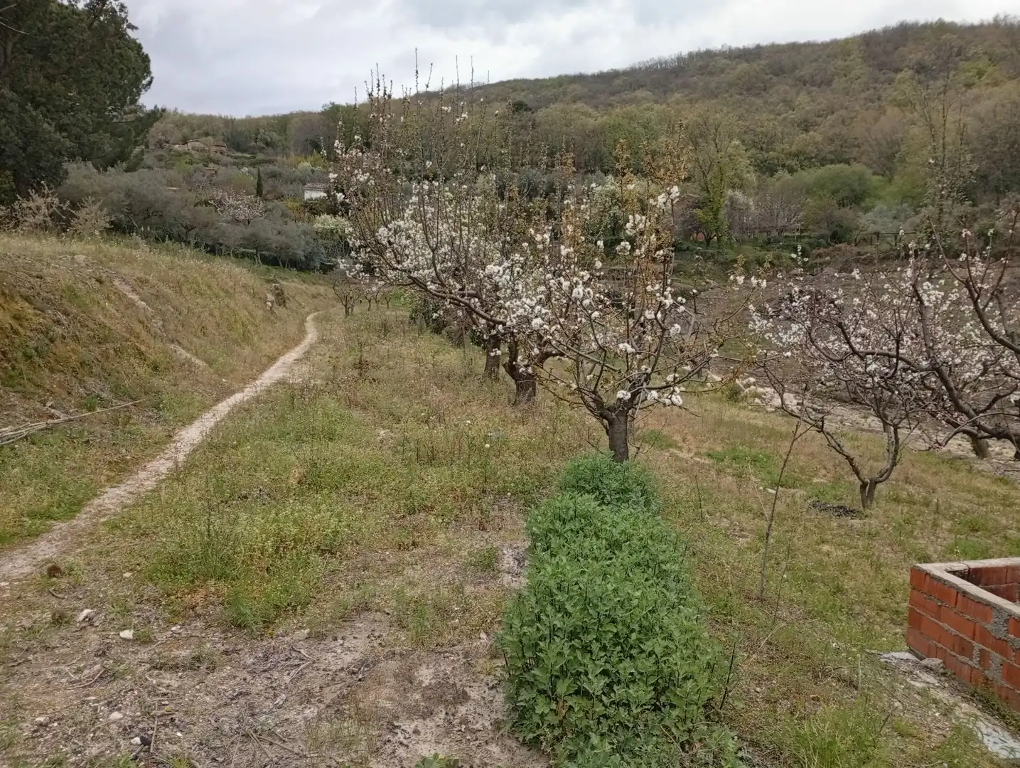 Terreni e lotti in vendita a Villanueva de la Vera, imagen 48