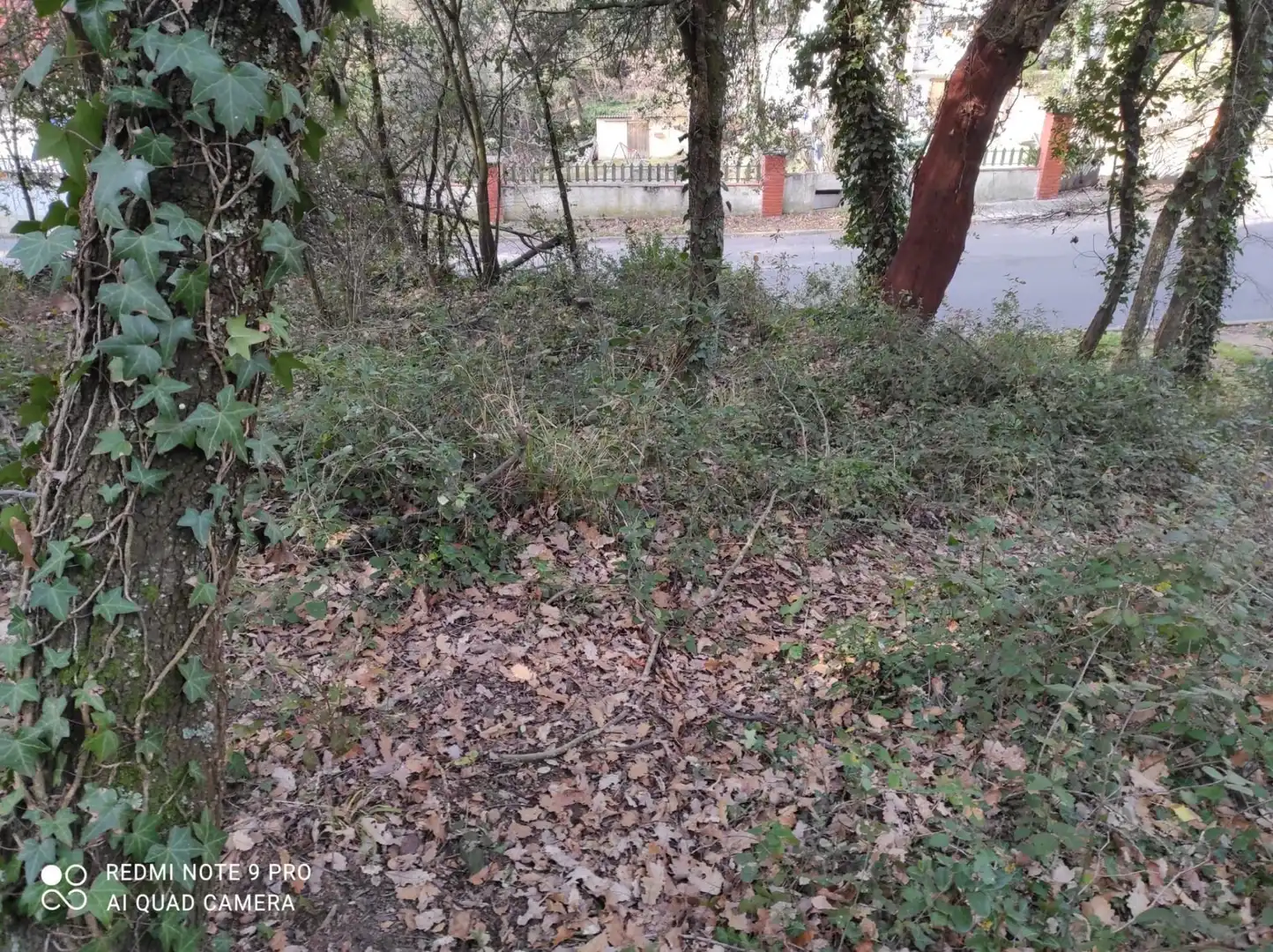 Terrenos y solares en venta en Vallgorguina