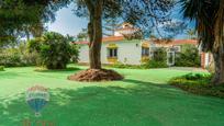 Jardí de Casa o xalet en venda en Torrox amb Aire condicionat i Terrassa