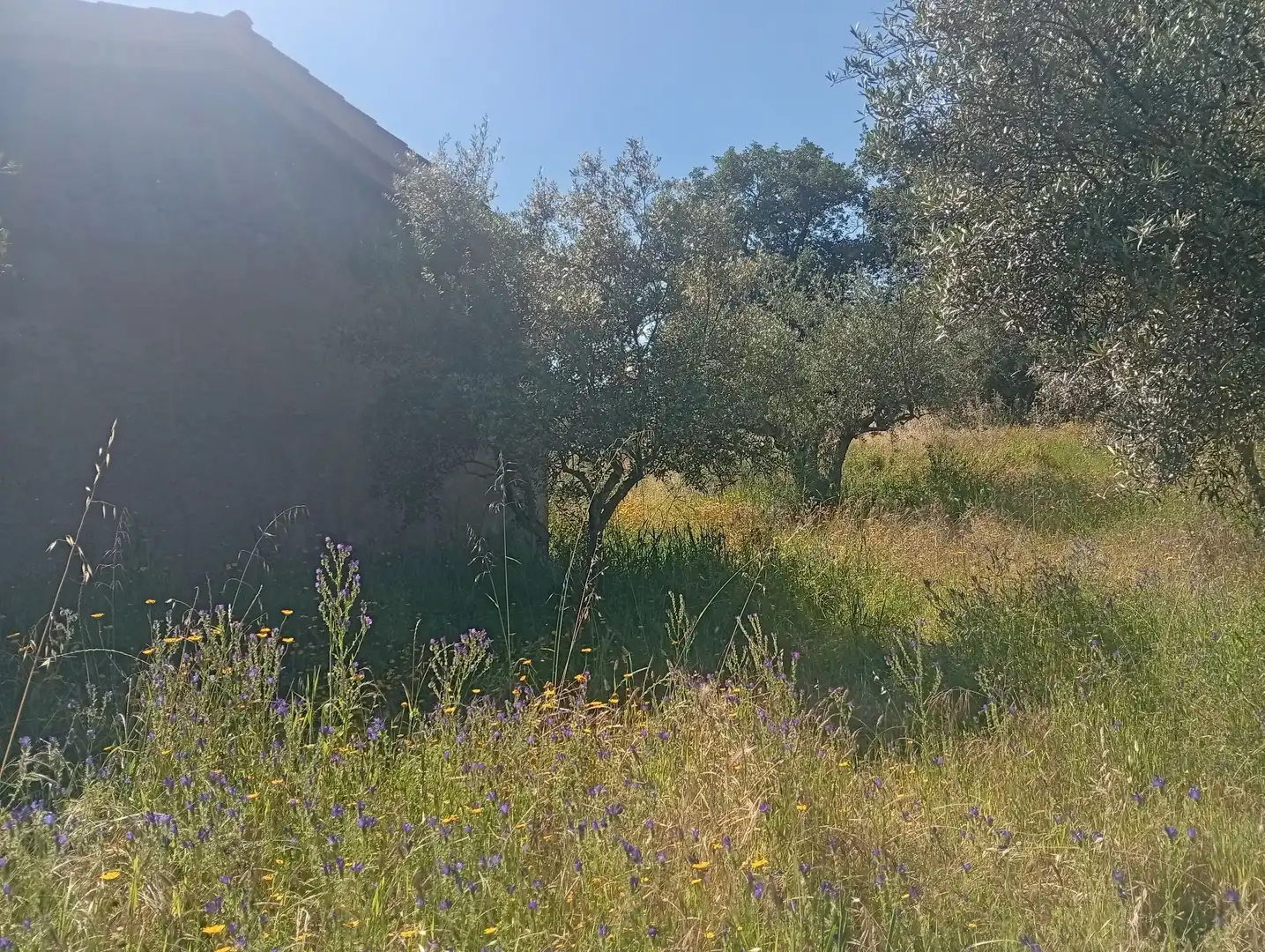 Maison à vendre à Villanueva de la Vera, imagen 31