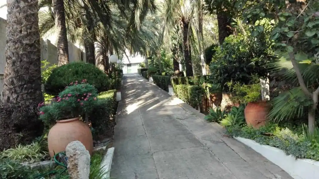 Vista exterior de Casa o chalet en venta en Cullera con Jardín privado, Terraza y Trastero