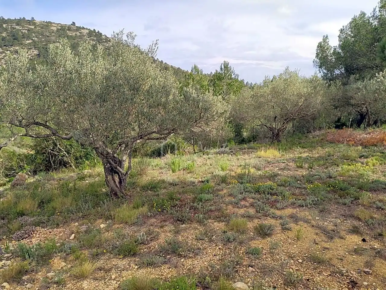 Terreno rustico in vendita a Pont Trencat, imagen 32