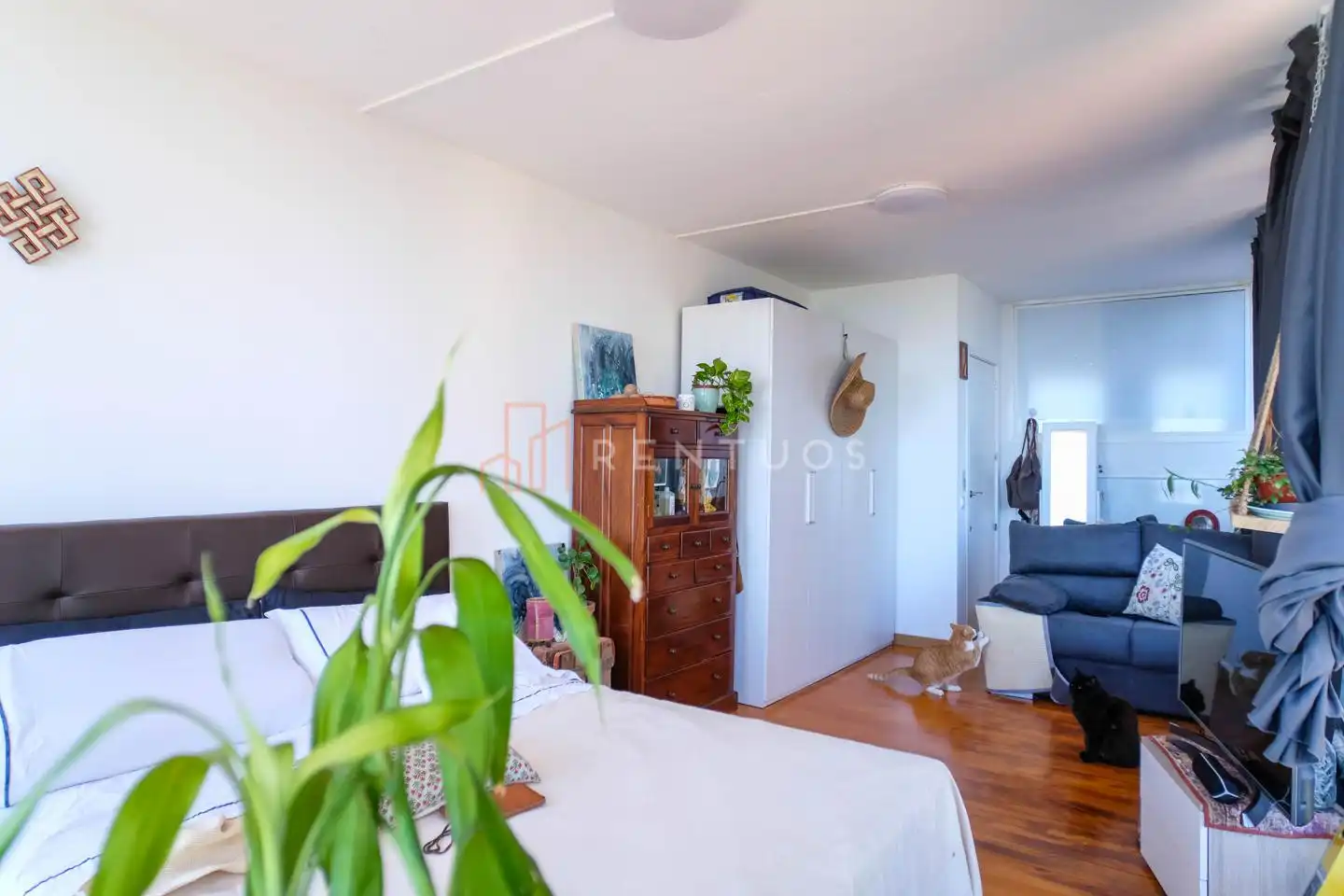 Casa con piscina en venta en Carrer de les Alberes, imagen 16