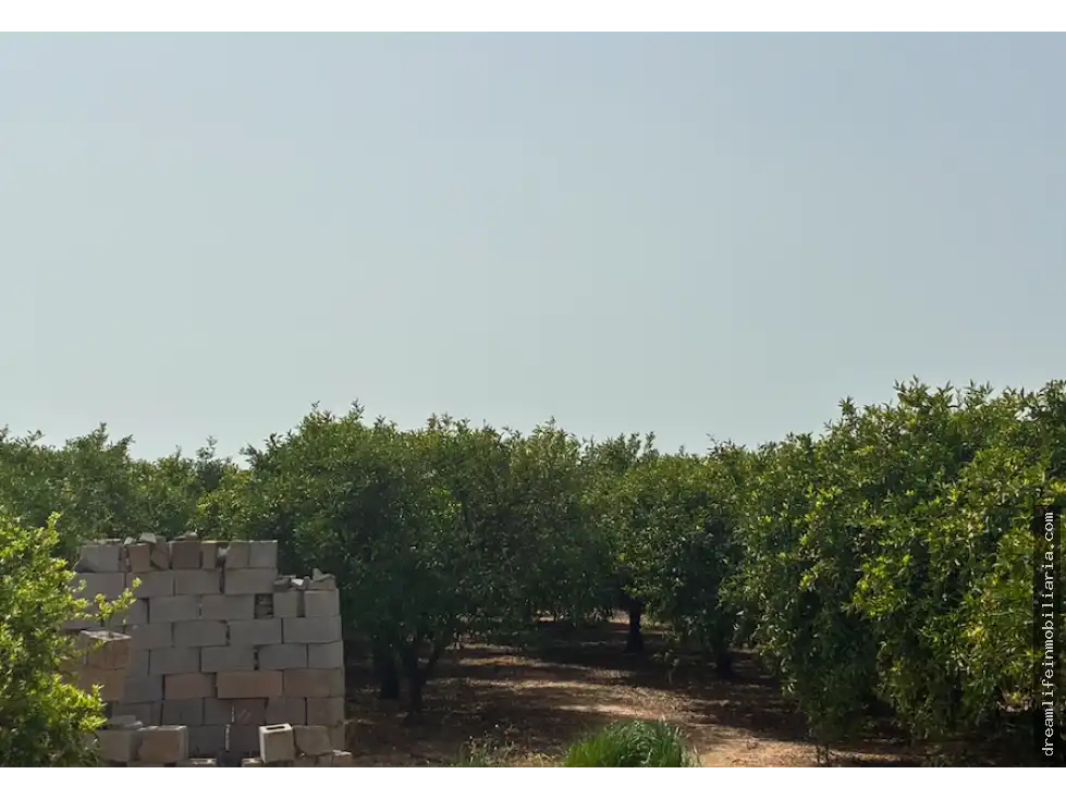 Terrenys i solars en venda a Playa - Ben Afeli, imagen 12