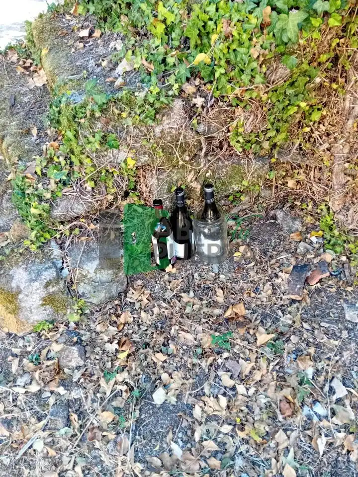 Haus mit Garten zum Verkauf in Coles, imagen 17