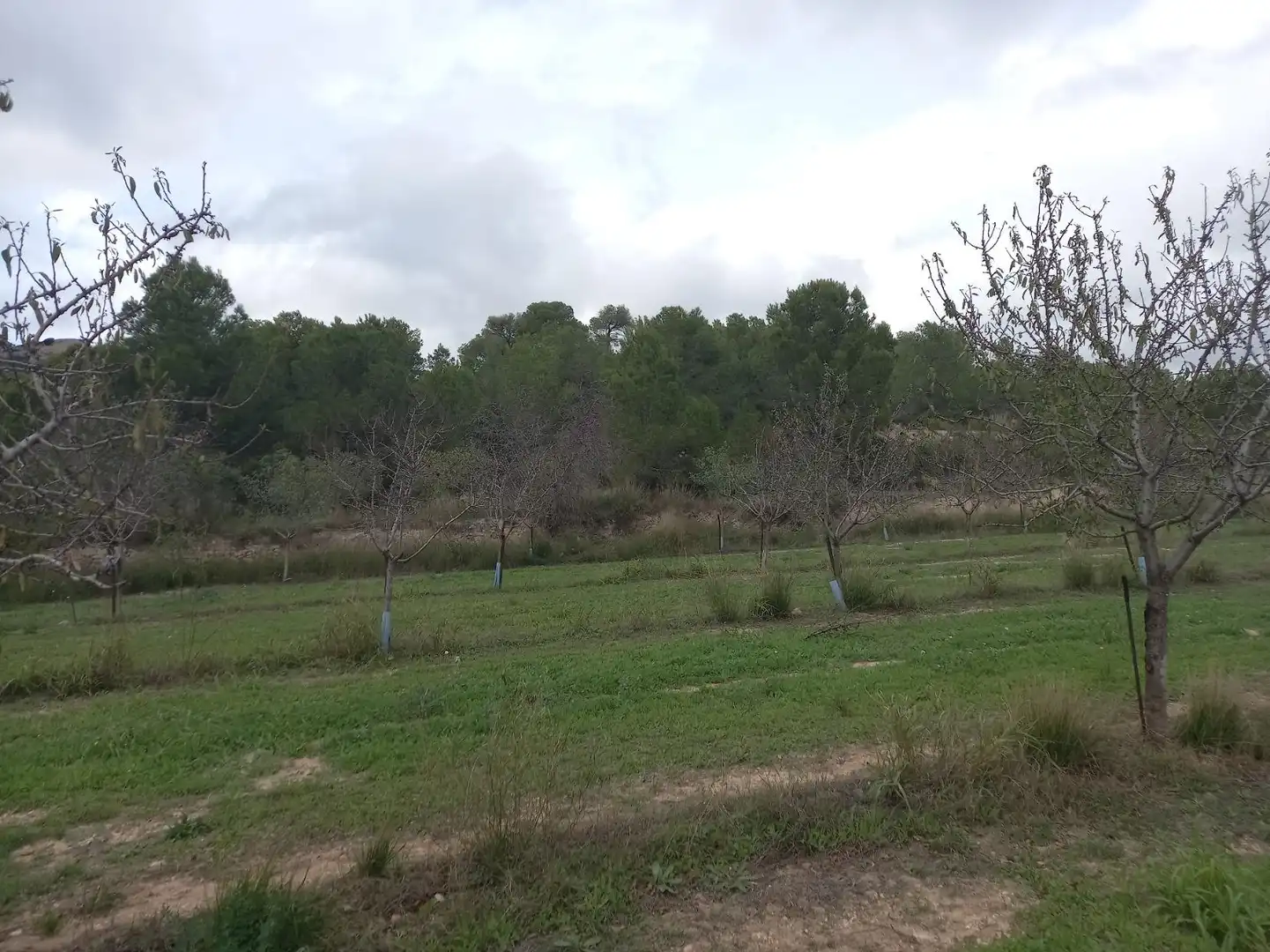 Rural land for sale in El Pinell de Brai, imagen 12