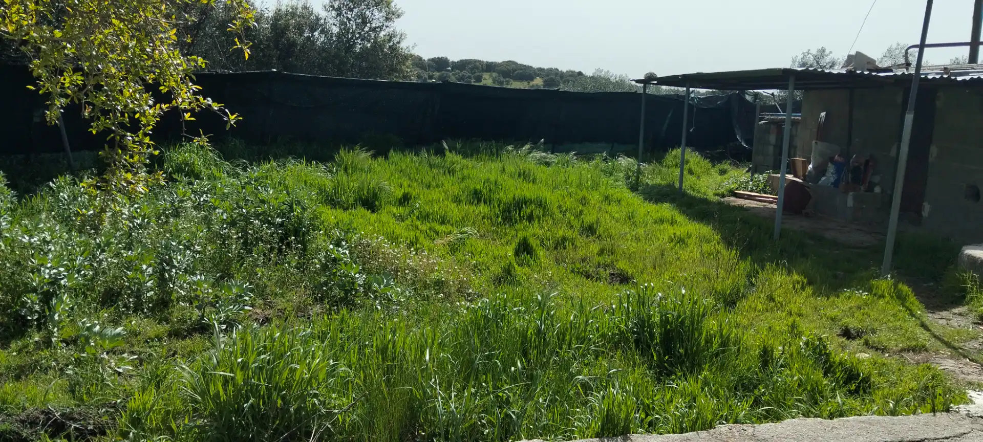 Houses for sale in Cenicientos  with Private garden, Terrace and Storage room