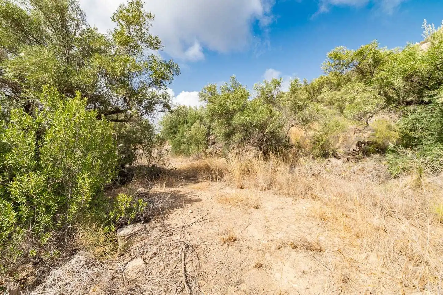 Terreno rústico en venta en Torrox Pueblo, imagen 18