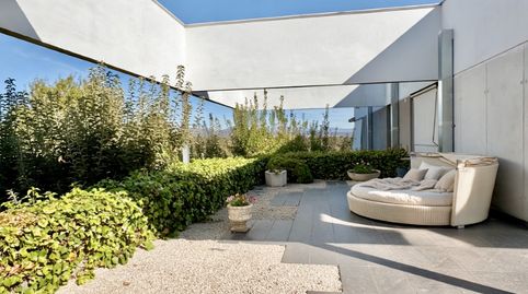 Foto 5 de Casa o xalet de lloguer a Ciudalcampo, Madrid