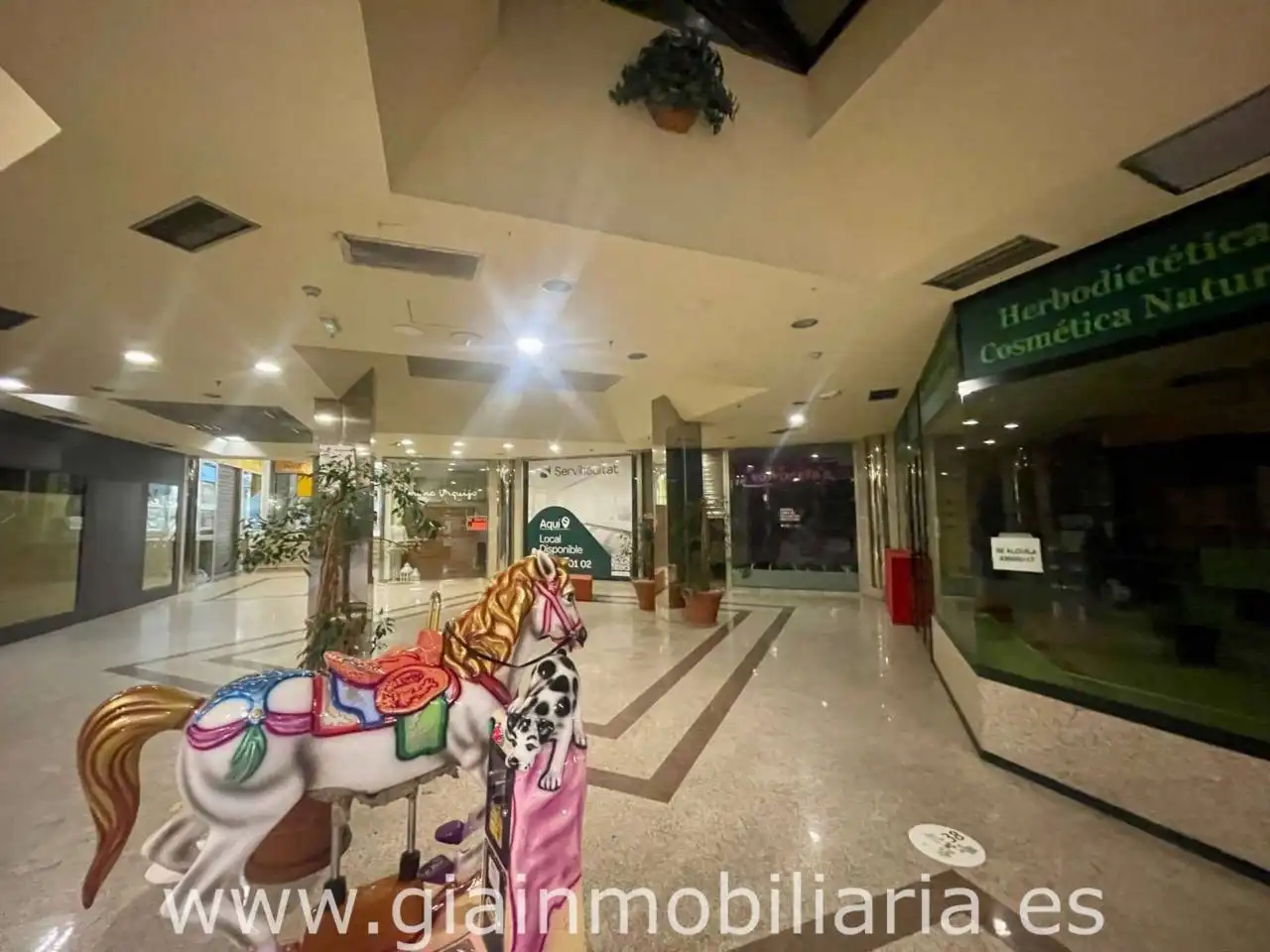 Gewerbefläche zum Verkauf in Avenida Manuel Lemos 30, imagen 3