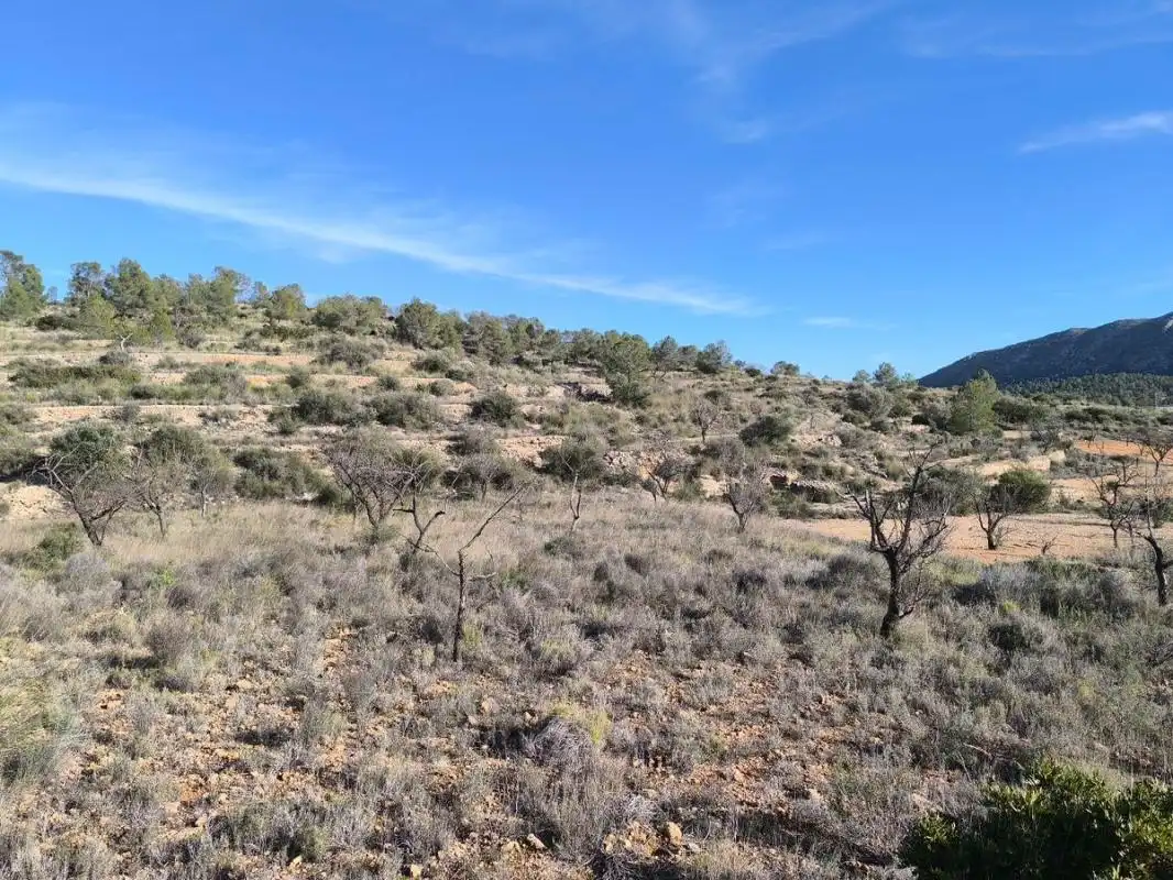 Rural land for sale in C-3320, imagen 8