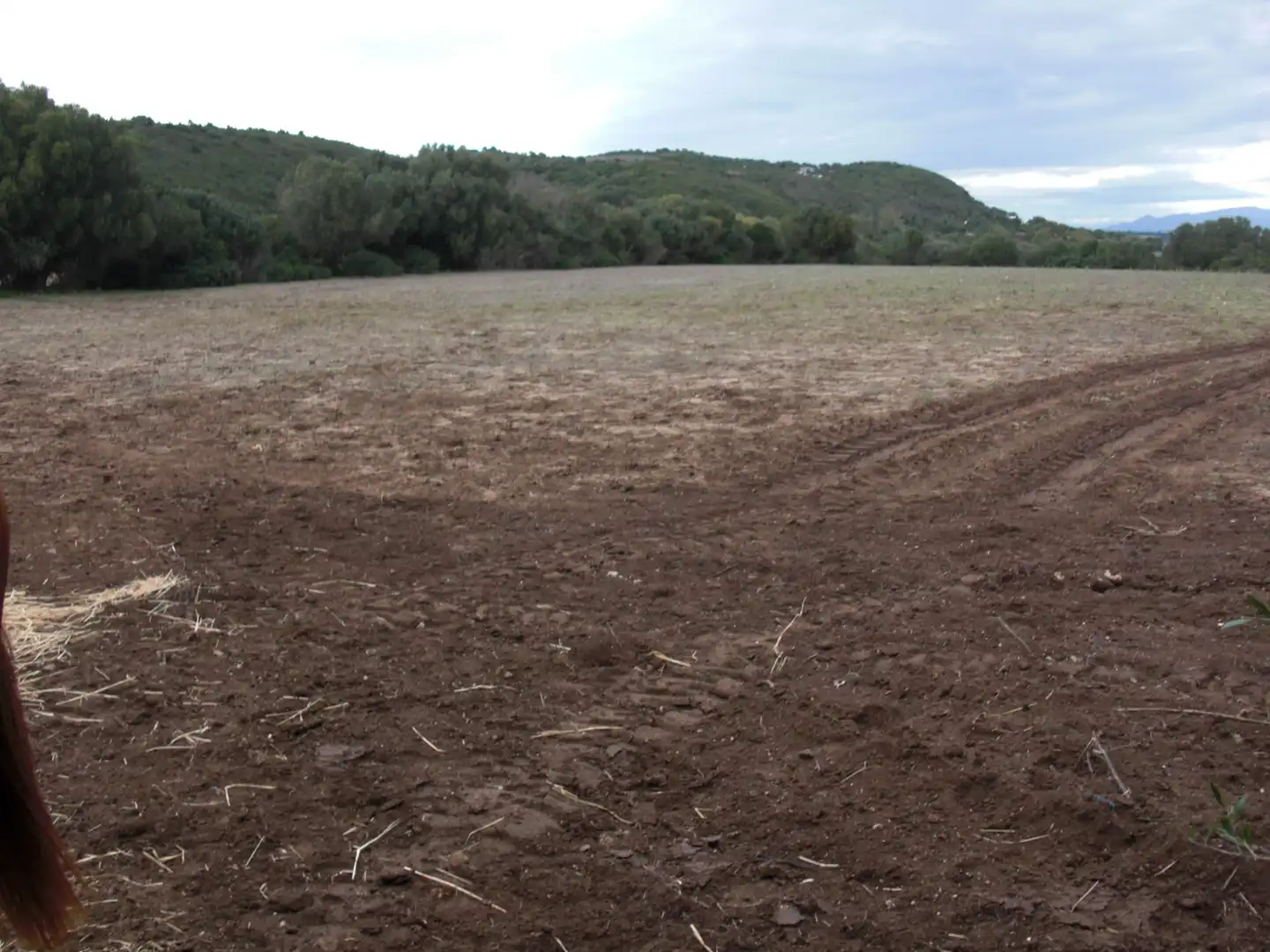 Finca rústica en venda en Vejer de la Frontera