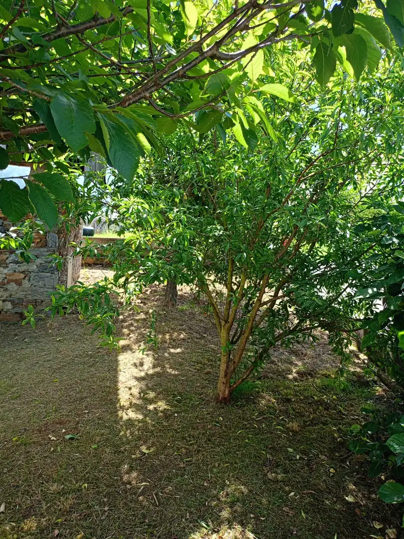 Maison avec jardin à vendre à Valdés - Luarca, imagen 4
